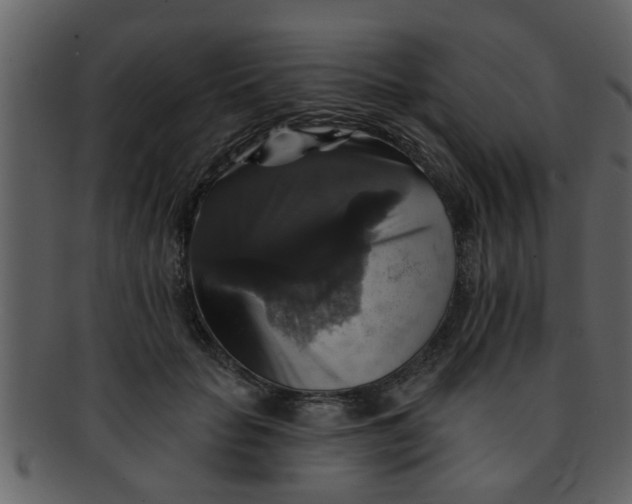 X0000093130653200710171308