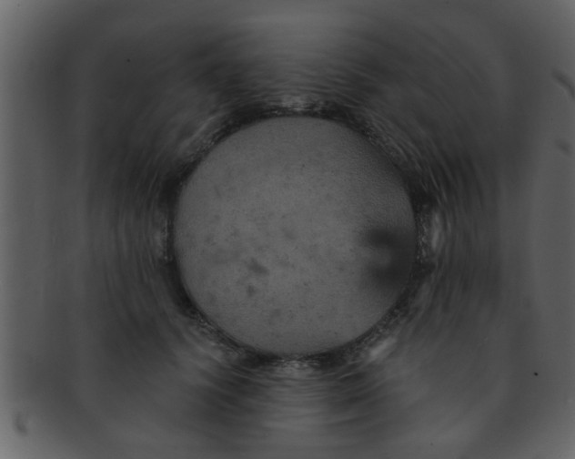 X0000093130656200710171308