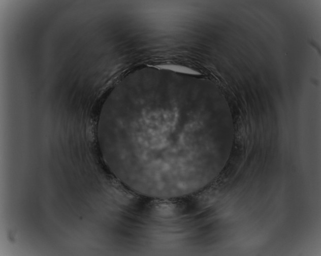 X0000093130658200710171308