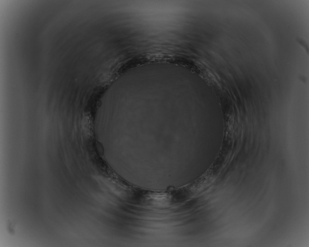 X0000093130659200710171308