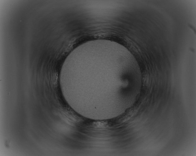 X0000093130660200710171308