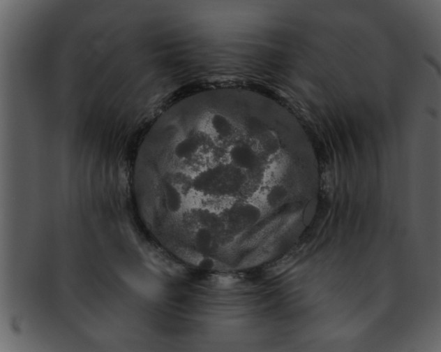 X0000093130662200710171308