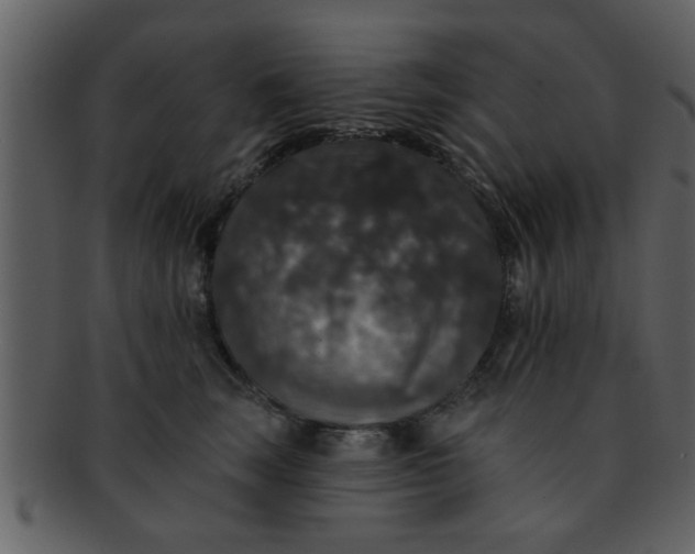 X0000093130663200710171308