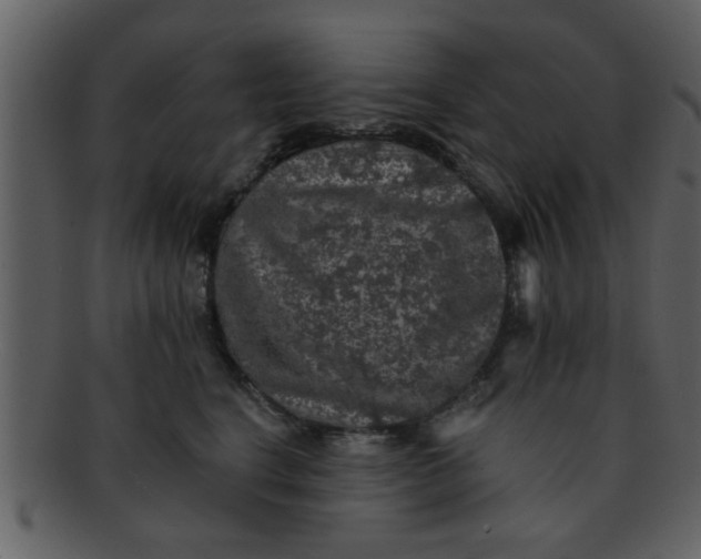 X0000093130664200710171308