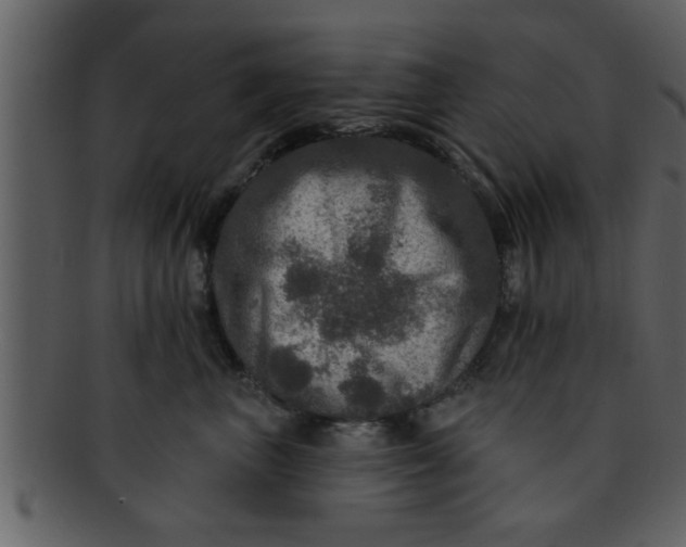 X0000093130667200710171308