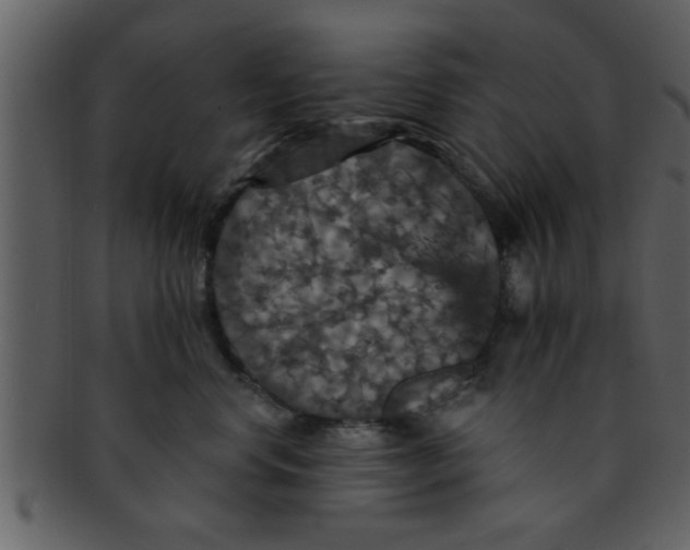 X0000093130668200710171308