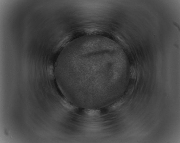 X0000093130670200710171308