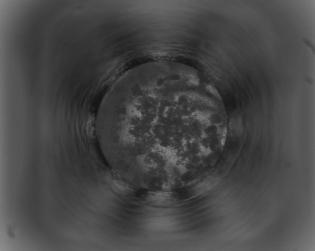 X0000093130671200710171308