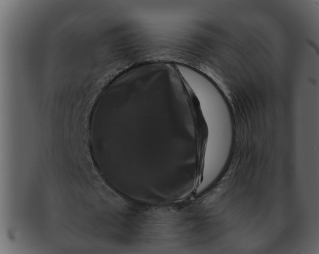 X0000093130673200710171308