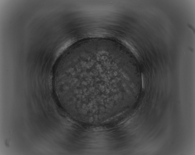 X0000093130675200710171308