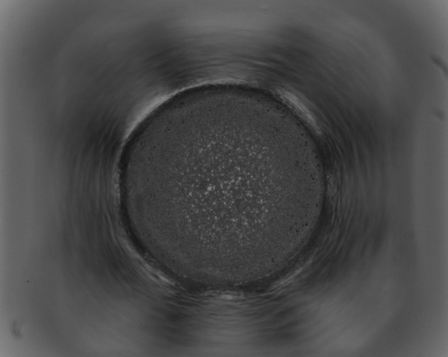 X0000093130676200710171308