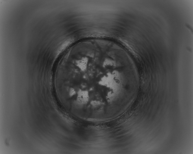 X0000093130679200710171308