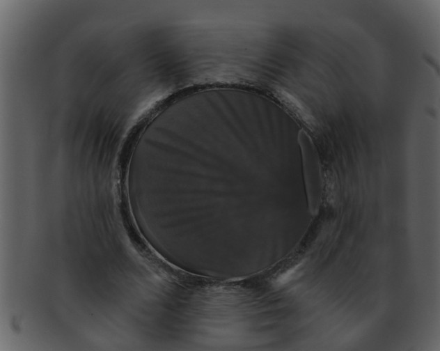 X0000093130680200710171308