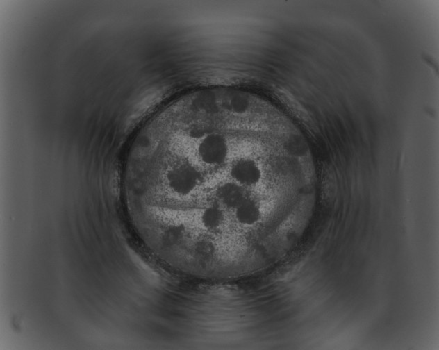 X0000093130683200710171308