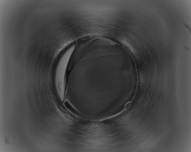 X0000093130684200710171308