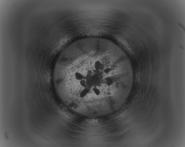 X0000093130687200710171307