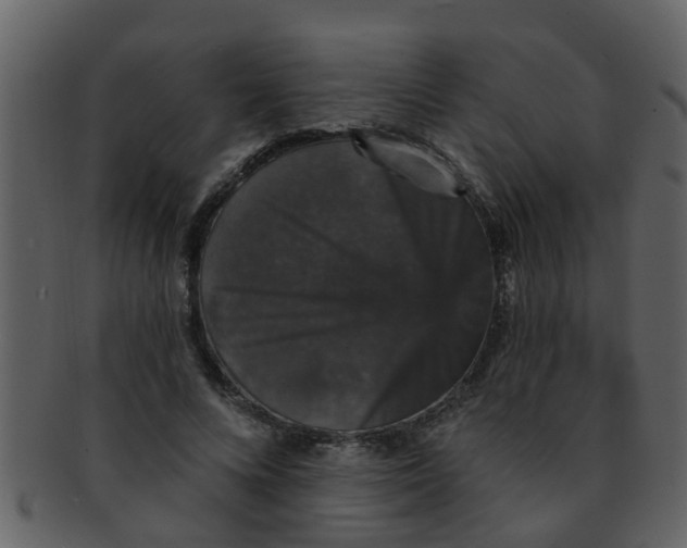 X0000093130688200710171307