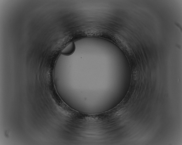 X0000093130690200710171307