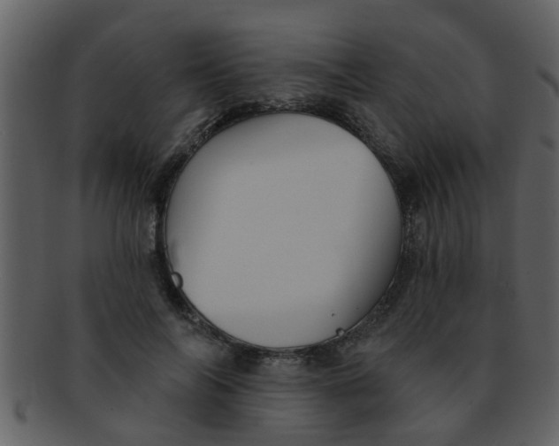 X0000093130694200710171307