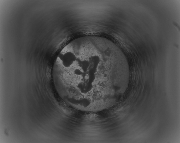 X0000093130695200710171307