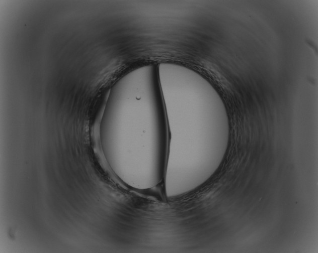 X0000093130696200710171307