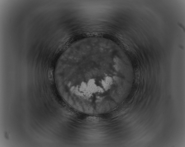 X0000093130699200710171307