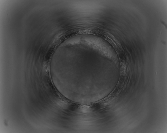 X0000093130701200710171307