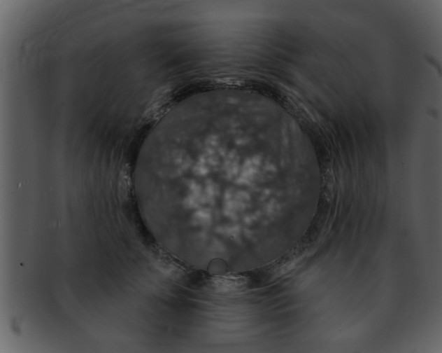 X0000093130707200710171307