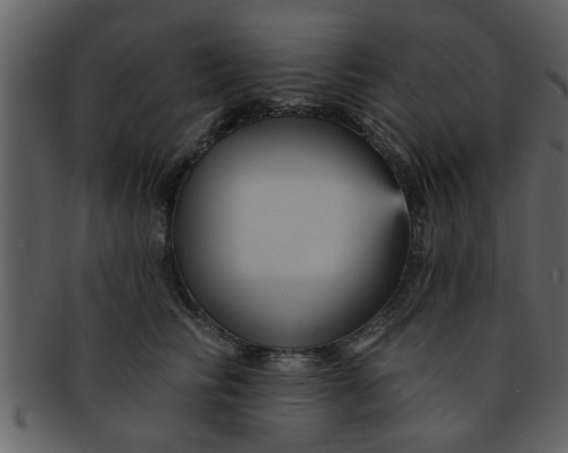 X0000093130710200710171307