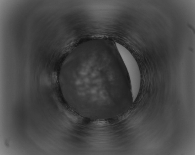 X0000093130711200710171307