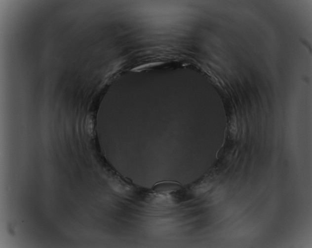 X0000093130715200710171307