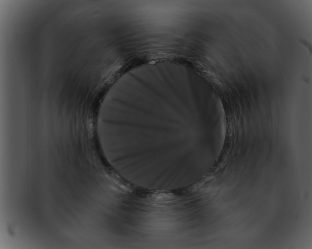 X0000093130716200710171307