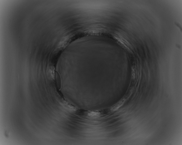 X0000093130718200710171307