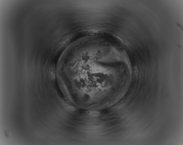 X0000093130719200710171307