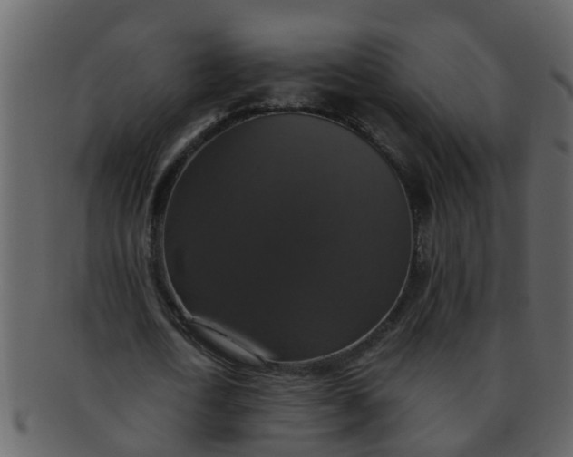 X0000093130722200710171306