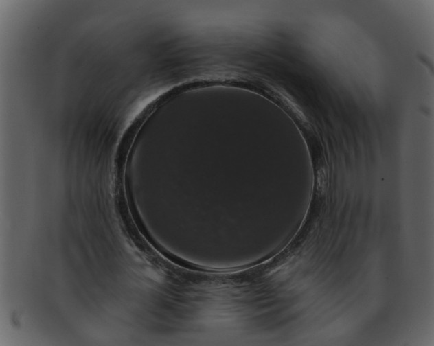 X0000093130724200710171306