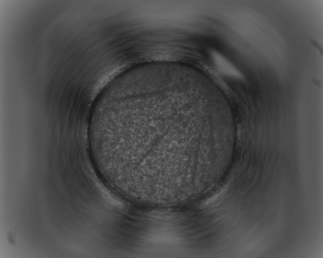 X0000093130725200710171306