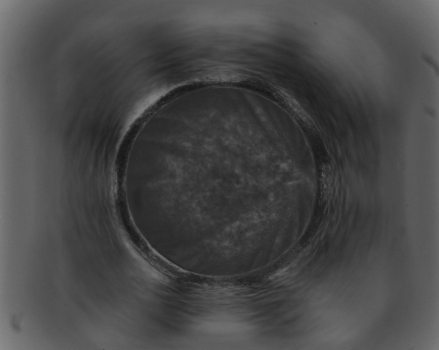 X0000093130726200710171306