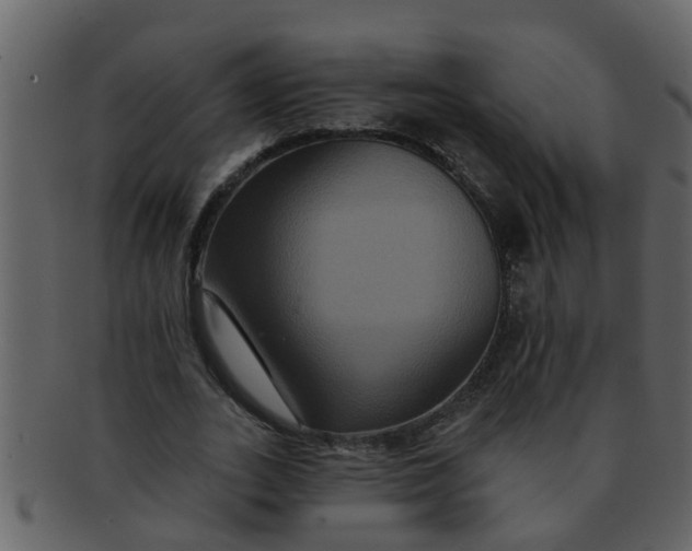 X0000093130727200710171306