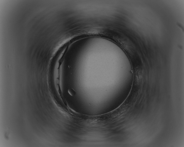 X0000093130728200710171306