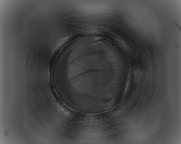 X0000093130729200710171306