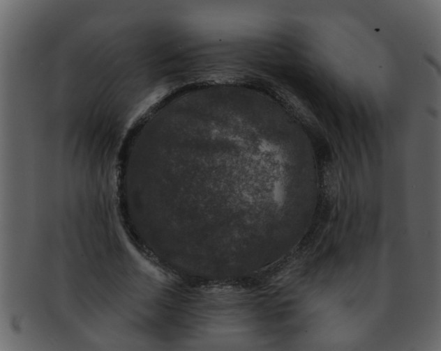 X0000093130730200710171307