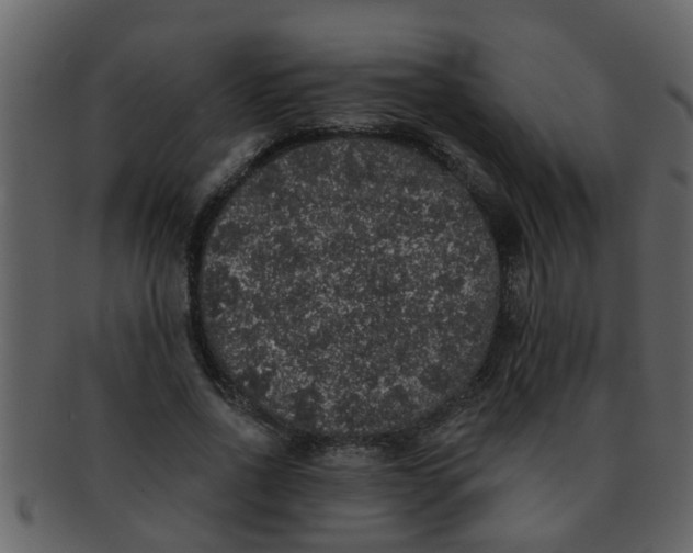 X0000093130734200710171307