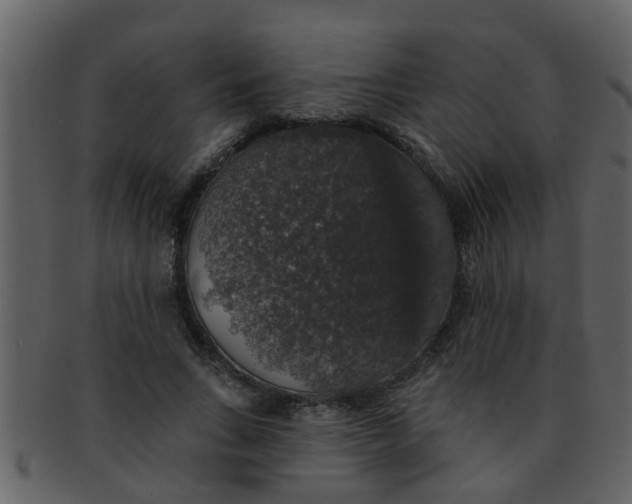 X0000093130735200710171307