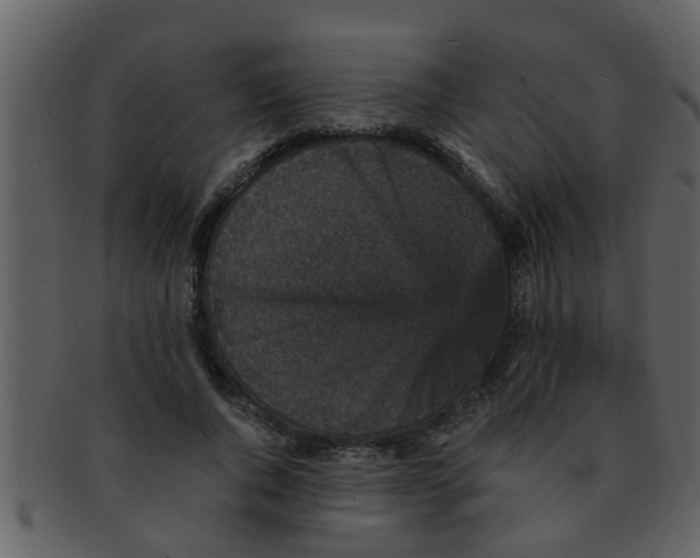 X0000093130736200710171307