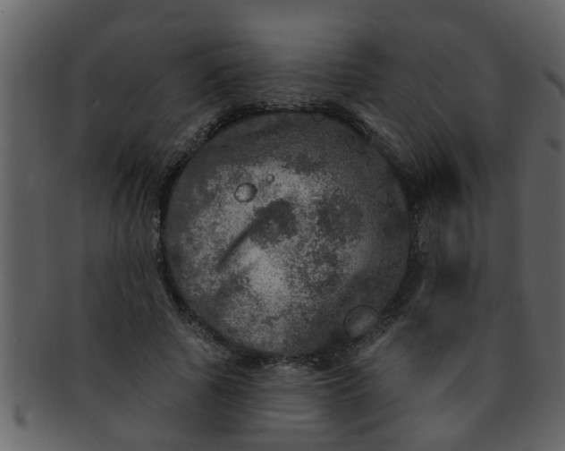 X0000093130737200710171307