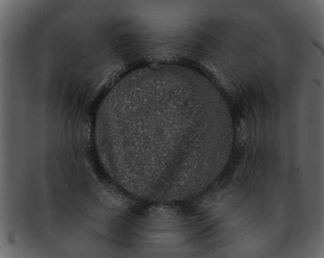 X0000093130739200710171307