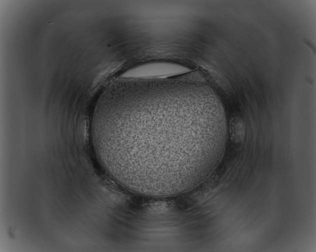 X0000093130740200710171307