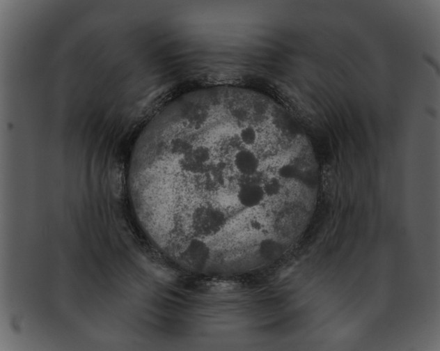 X0000093130741200710171307