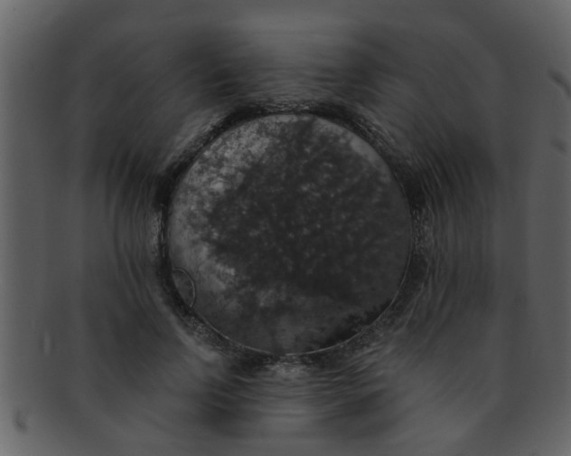 X0000093130742200710171307